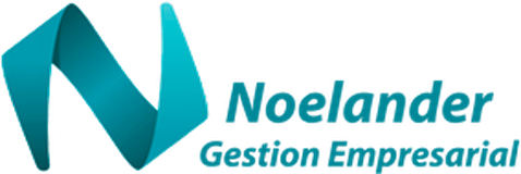 Noelander Gestión Empresarial